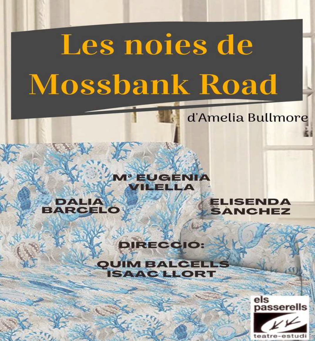 Imatge "Les noies de Mossbank Road” - Sala Santa Llúcia