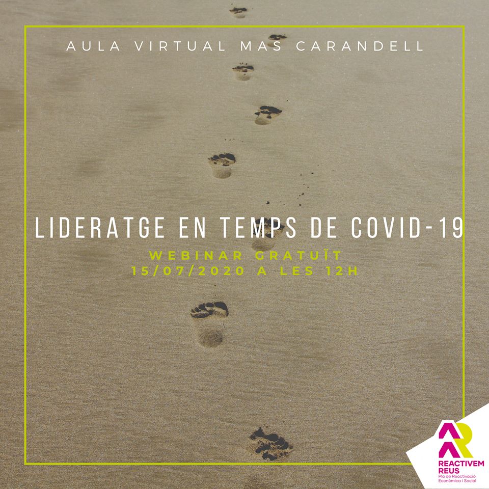 Imatge Webinar: Lideratge en temps de Covid-19