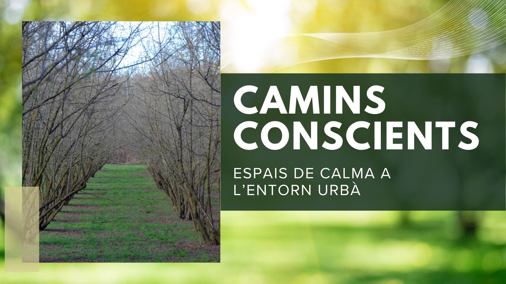 Imatge Camins conscients. Mindfulness per nens
