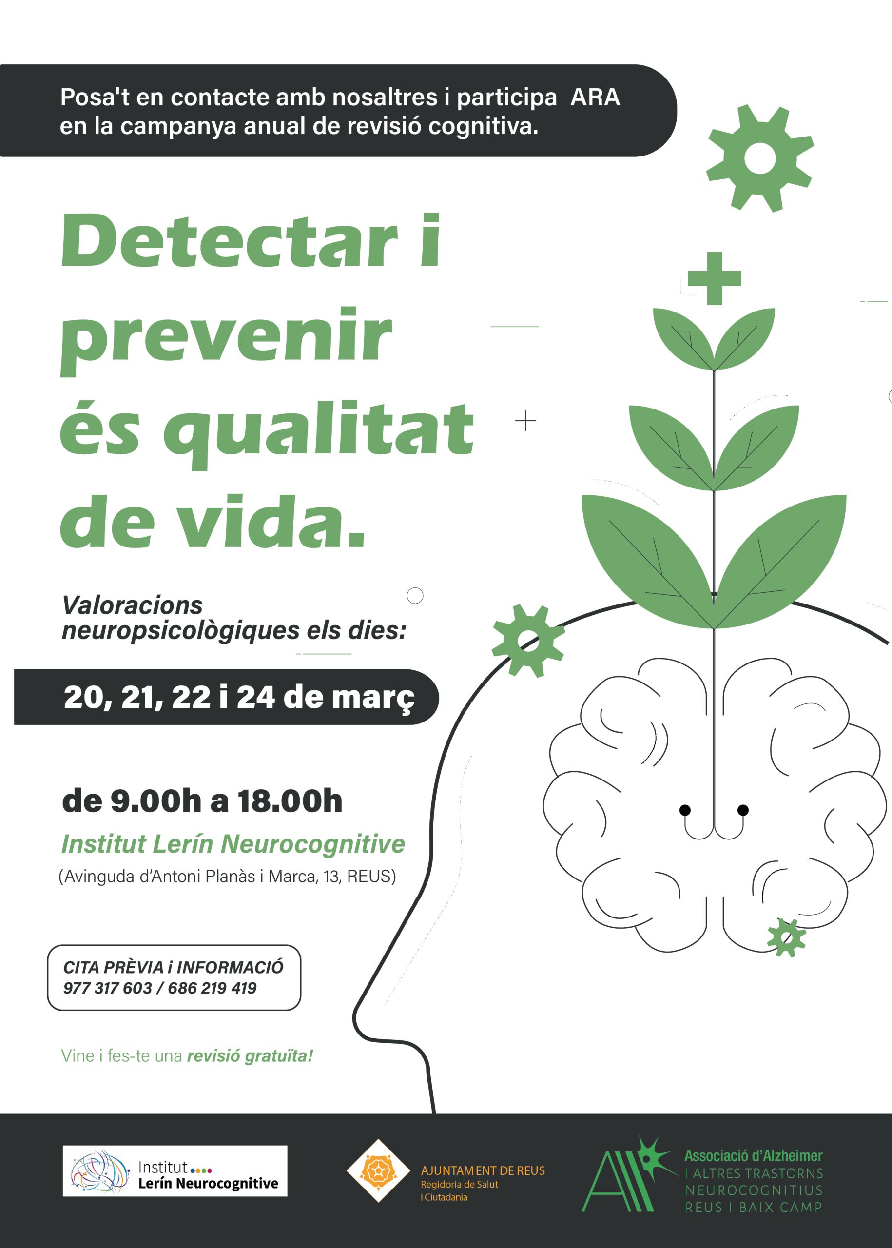 Imatge Revisions neurocognitives 