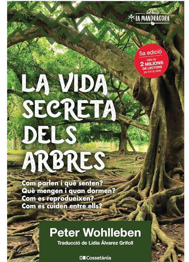 Imatge Club de liternatura
