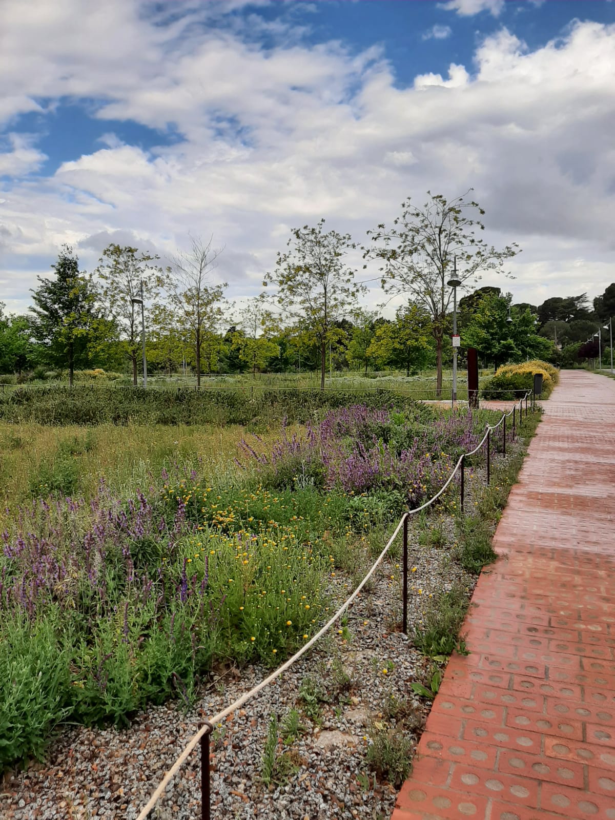 Imatge Passejada: de la Boca de la Mina a l'Institut Pere Mata