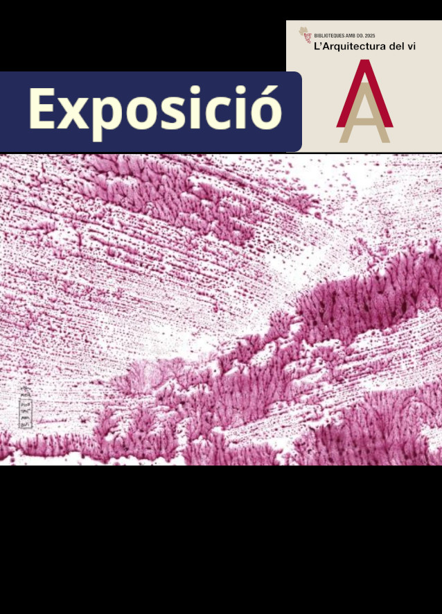 Imatge Exposició Pintura i vi de la Montserrat Adzerias