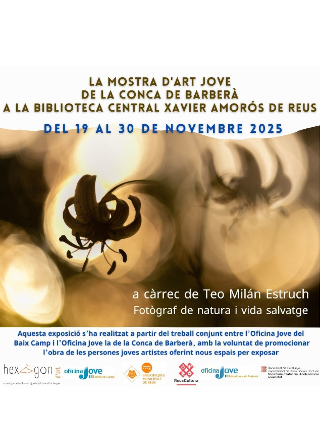 Imatge HEXÀGON D'ART JOVE: Mostra d'art jove Conca