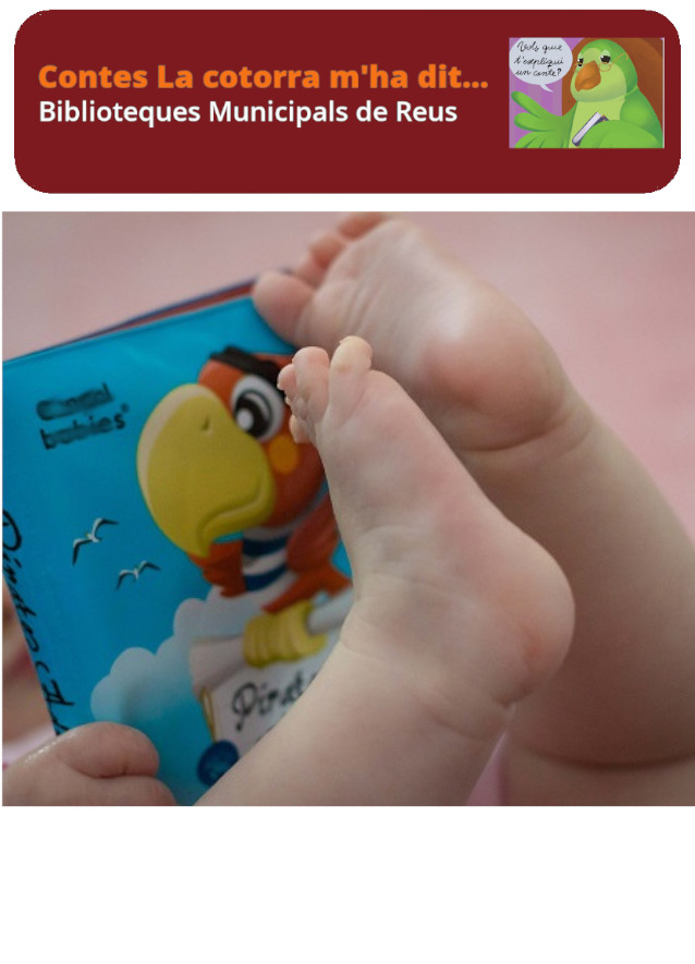 Imatge Contes La Cotorra m'ha dit...