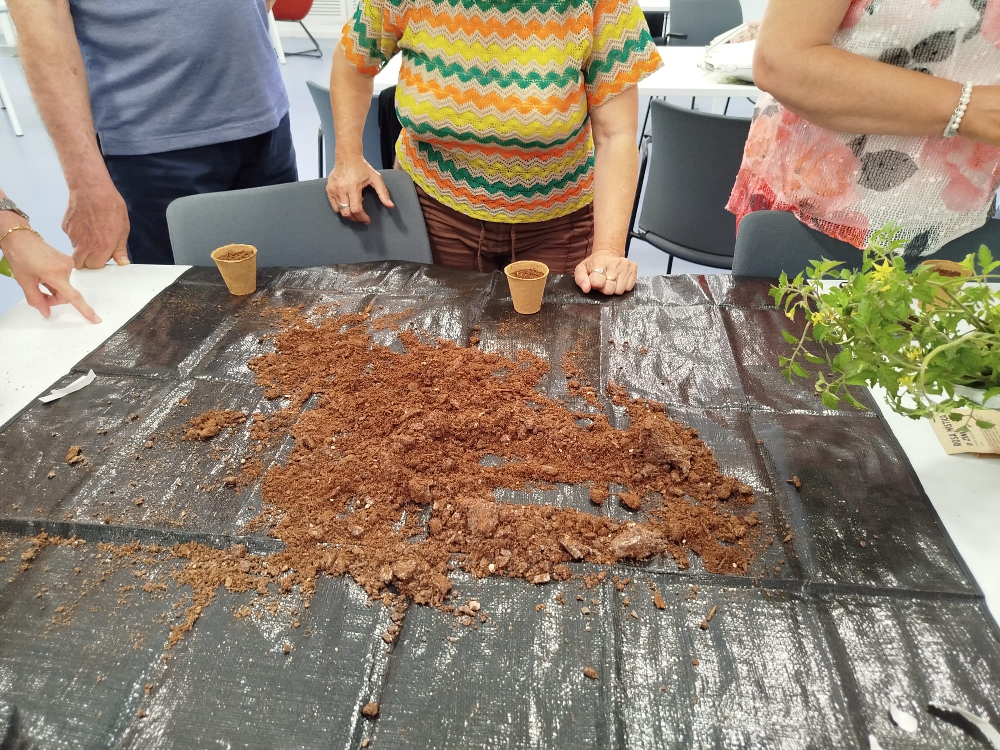 Imatge RENATUReus: activitats de tardor