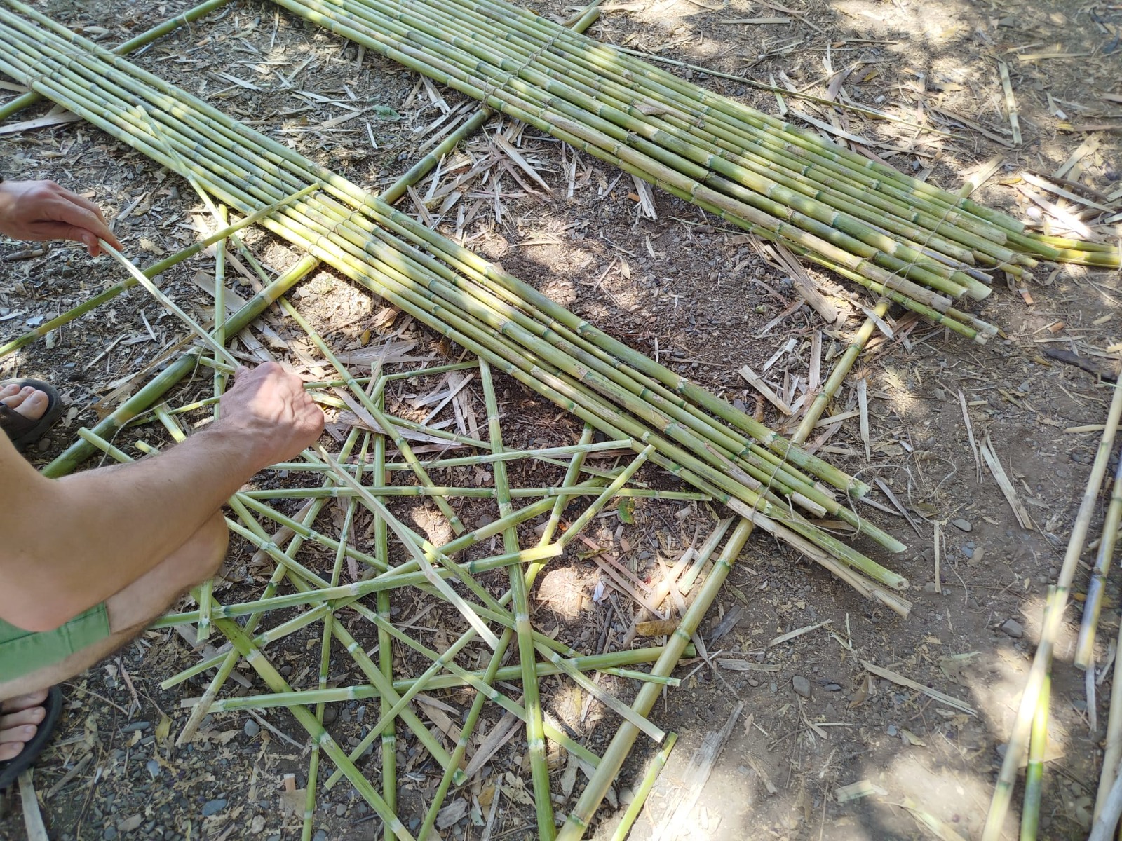 Imatge RENATUReus: activitats de tardor