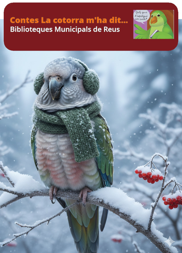 Imatge Contes La Cotorra m'ha dit...