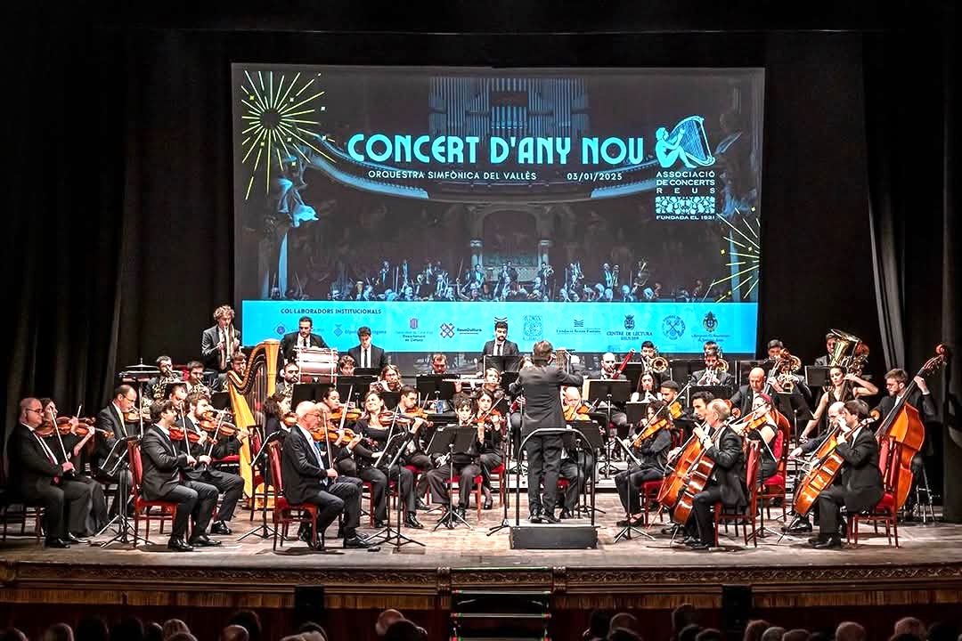 Imatge Concert d'Any Nou