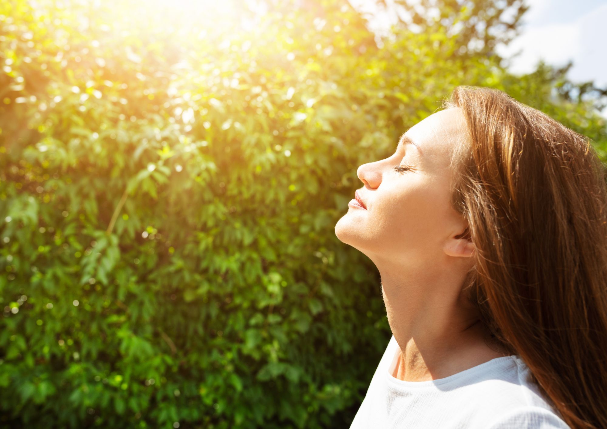 Imatge Respira natura, camina i troba la calma.