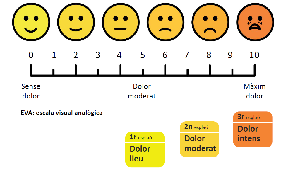 Imatge Què cal saber del dolor?
