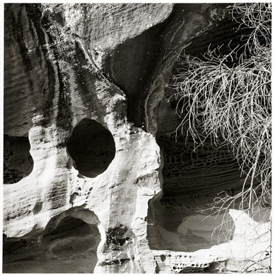 Imatge Gaudí i la natura