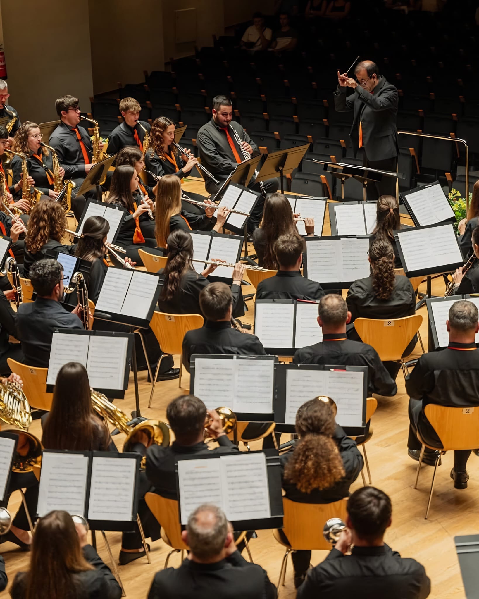 Imatge Tradicional Concert de Santa Cecília
